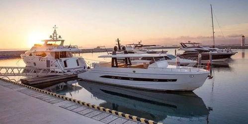 成人游轮套路视频大全,视频大全深度解析