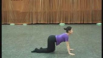 成人腰部基本功训练视频,打造健康灵活的腰背