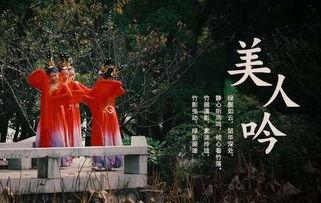 酒泉舞蹈成人古典舞视频,成人舞者演绎传统艺术之美