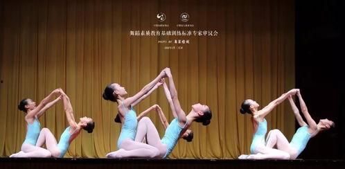 白泥坑成人舞蹈视频大全,动感舞步，释放激情