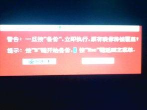 成人电脑字母视频,探索数字时代的私密世界