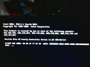 成人电脑字母视频,探索数字时代的私密世界