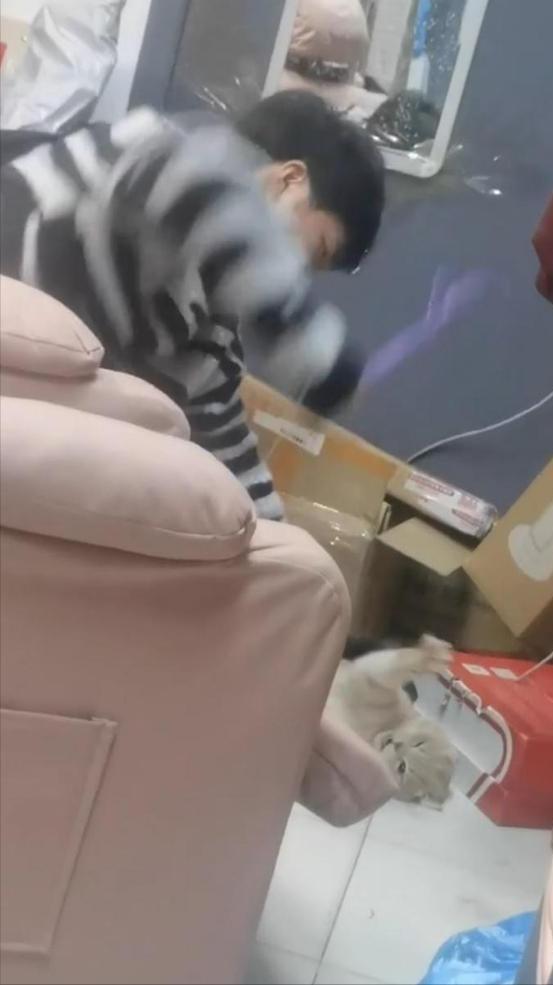 成人淫视频  校园,一场道德与法律的较量