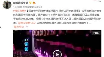 蜂窝成人公开视频,内容解析与影响探讨