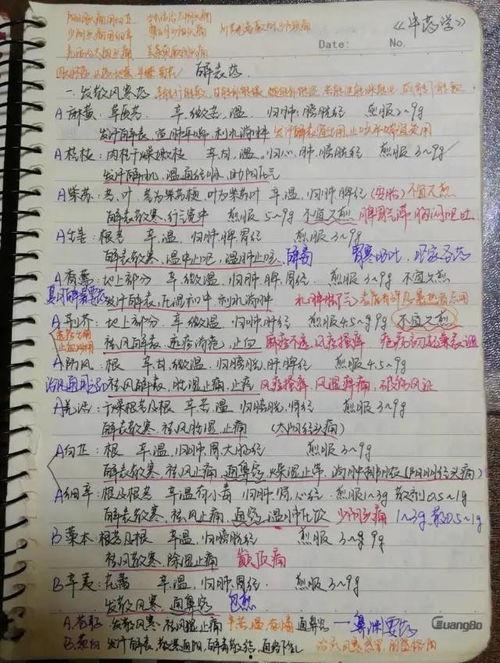 成人埋头记笔记的视频,揭秘成人埋头记笔记的专注力奥秘