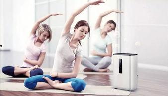 成人长高运动操视频教程