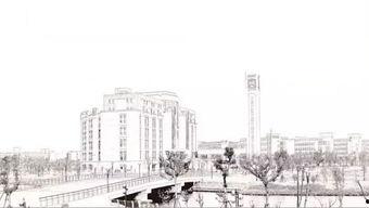 电机学院成人教程视频,电机学院成人教程视频精华概述