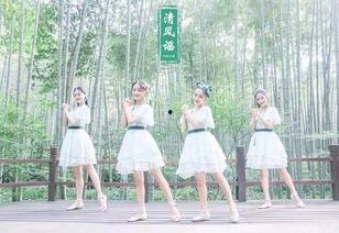 清风成人舞蹈视频