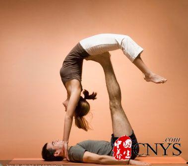 成人运动姿势大全双人视频,携手共舞，健康生活新篇章