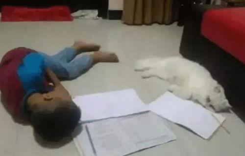 成人写作业姿势视频,揭秘成人写作业的正确姿势与高效技巧