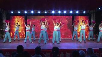 扭秧歌成人舞蹈视频大全,成人舞蹈视频大全精选集锦