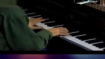 成人初级简易钢琴教程视频,简易教程视频精华解析