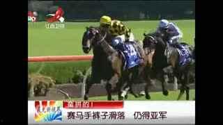 成人赛马比赛视频大全,成人赛马比赛视频大全精彩瞬间回顾