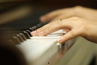 声乐课成人钢琴视频,跟随视频轻松掌握