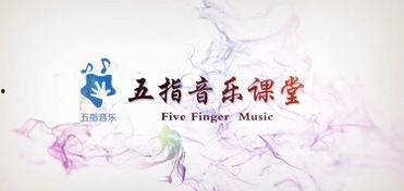 成人弹琴视频教程全集