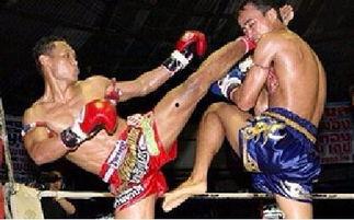 成人活动热身格斗视频,成人活动热身格斗视频全解析