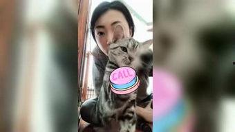 九九re成人精品视频,揭秘激情四溢的视觉盛宴