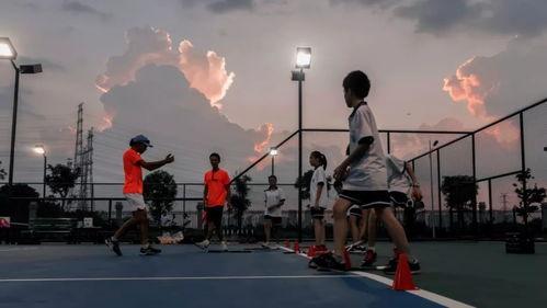 射击成人训练方法视频,视频教程深度解析