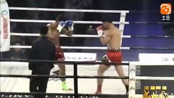 成人拳击视频大全,激情对决，力量与技巧的完美演绎